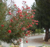 The Heights Bed  Breakfast - Accommodation in Bendigo