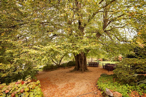 Nesuto Leura Gardens (formerly Waldorf Leura Gardens Resort) - Accommodation in Bendigo 1