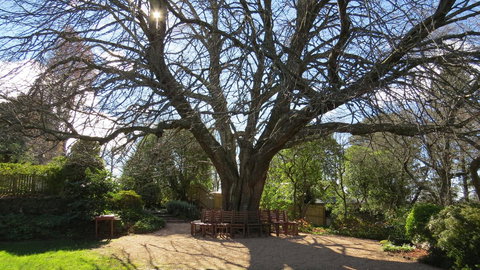 Nesuto Leura Gardens (formerly Waldorf Leura Gardens Resort) - Accommodation in Bendigo 3