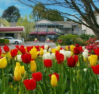 Nesuto Leura Gardens formerly Waldorf Leura Gardens Resort - Accommodation in Bendigo