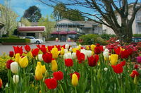 Book Leura Accommodation Vacations Accommodation in Bendigo Accommodation in Bendigo