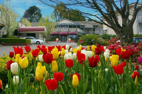 Nesuto Leura Gardens (formerly Waldorf Leura Gardens Resort) - Accommodation in Bendigo 0