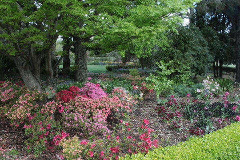 Nesuto Leura Gardens (formerly Waldorf Leura Gardens Resort) - Accommodation in Bendigo 2