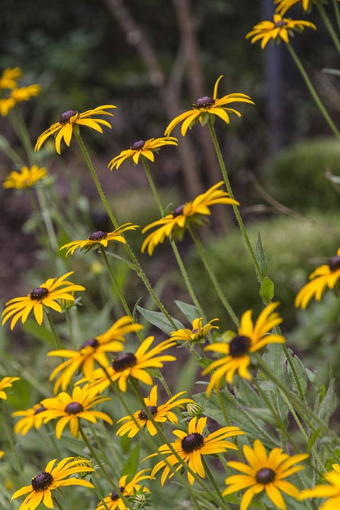 Nesuto Leura Gardens (formerly Waldorf Leura Gardens Resort) - Accommodation in Bendigo 15