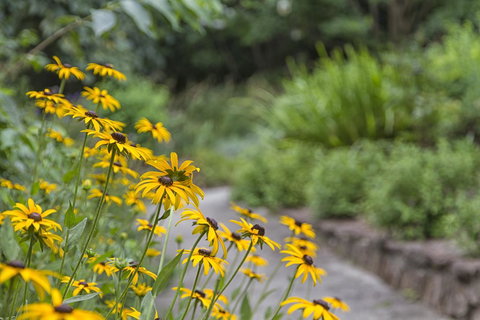 Nesuto Leura Gardens (formerly Waldorf Leura Gardens Resort) - Accommodation in Bendigo 16