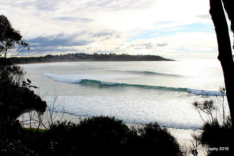 Mollymook Cove Apartments - Accommodation in Bendigo 2