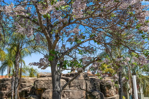 Quality Resort Siesta - Accommodation in Bendigo 2