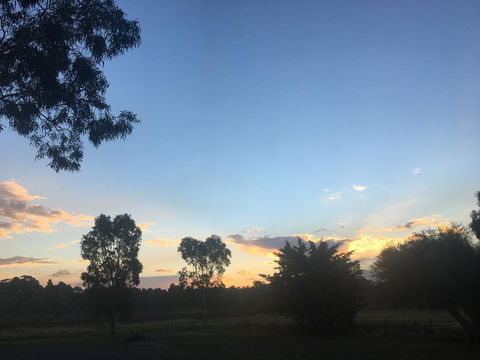 Junee Motor Inn - Accommodation in Bendigo 26