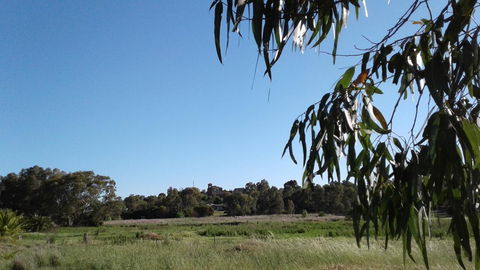 Junee Motor Inn - Accommodation in Bendigo 8