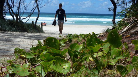 SaltBeach2302 - Accommodation in Bendigo 15