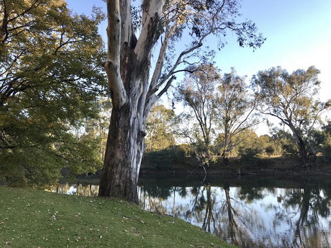 The Botanical 201 - Accommodation in Bendigo 18