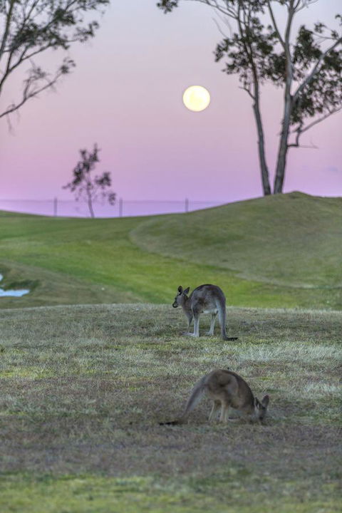 Oaks Cypress Lakes Resort - Accommodation in Bendigo 28