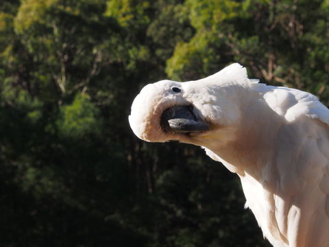 Bundle Hill Cottages - Accommodation in Bendigo 1