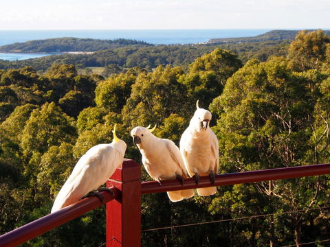 Bundle Hill Cottages - Accommodation in Bendigo 2