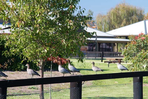 Potters Apartments - Accommodation in Bendigo 25