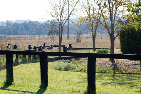 Potters Apartments - Accommodation in Bendigo 24