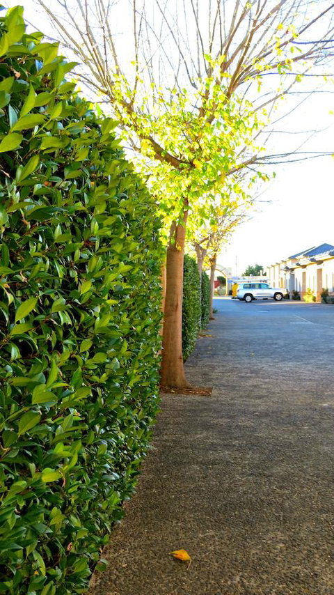 Best Western Plus Goulburn - Accommodation in Bendigo 37
