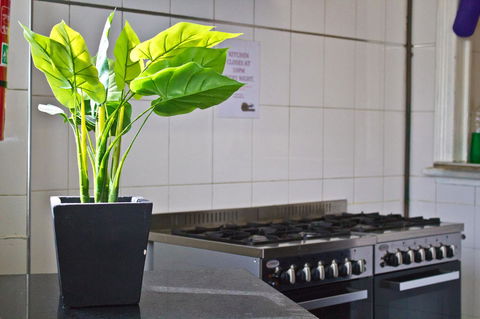 Mad Monkey Kings Cross - Accommodation in Bendigo 19