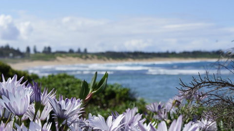 Blue Lagoon Beach Resort - Accommodation in Bendigo 18