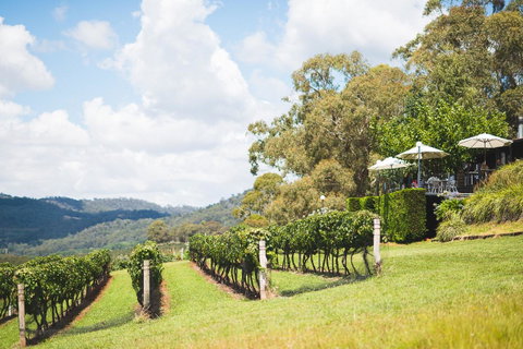 Borrodell Vineyard - Accommodation in Bendigo 12