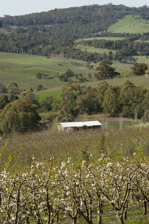 Borrodell Vineyard - Accommodation in Bendigo 30