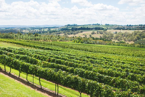 Borrodell Vineyard - Accommodation in Bendigo 29