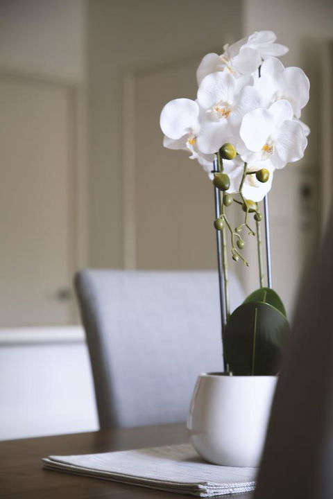Quest Wagga Wagga - Accommodation in Bendigo 18