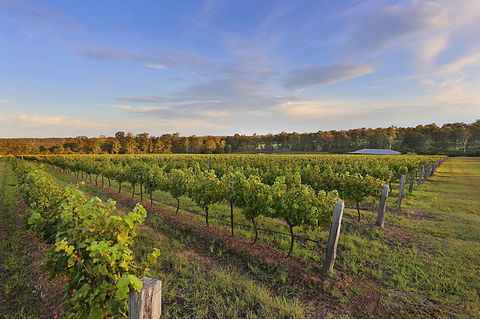 Ironstone Estate Lovedale - Accommodation in Bendigo 31