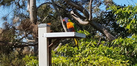 The Edgewater On Greville - Accommodation in Bendigo 15