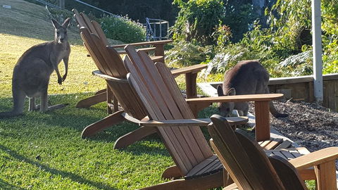 The Edgewater On Greville - Accommodation in Bendigo 18