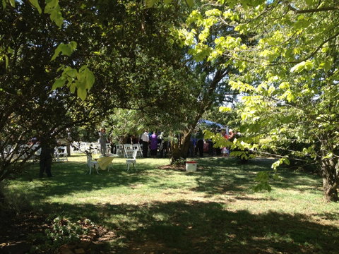 Warriwillah - Millthorpe's Country Motel - Accommodation in Bendigo 16