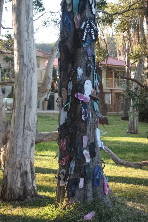 Ambience - Accommodation in Bendigo 33