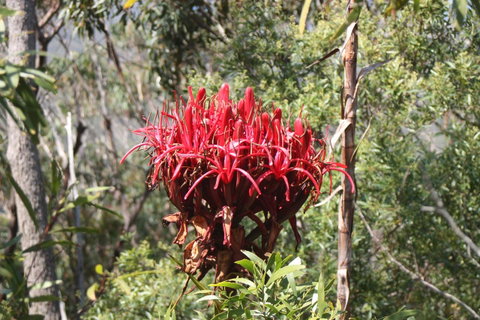 Ambience - Accommodation in Bendigo 30