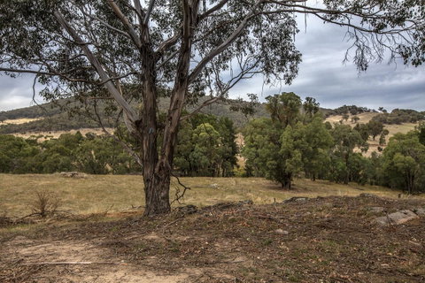 Pound Creek Gallery - Accommodation in Bendigo 29