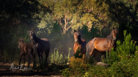Pound Creek Gallery - Accommodation in Bendigo 18