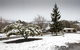 Pound Creek Gallery - thumb 8