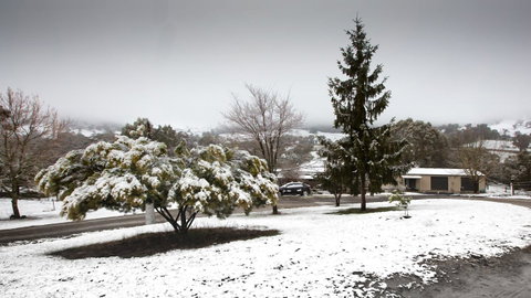 Pound Creek Gallery - Accommodation in Bendigo 8