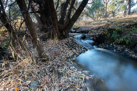 Pound Creek Gallery - Accommodation in Bendigo 26
