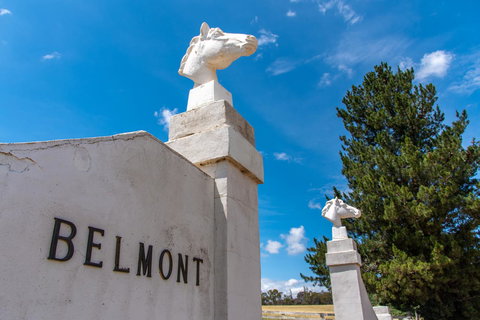 Belmont - Accommodation in Bendigo 4