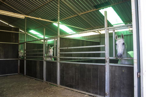 Allonville Gardens Motel - Accommodation in Bendigo 33