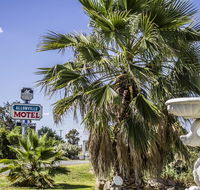 Allonville Gardens Motel - Accommodation in Bendigo