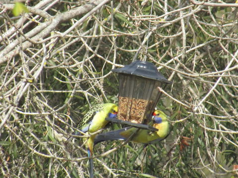 Allonville Gardens Motel - Accommodation in Bendigo 36