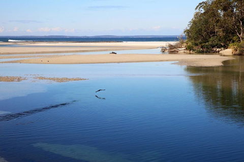 Jervis Bay Beach Shack I Pet Friendly - Accommodation in Bendigo 19