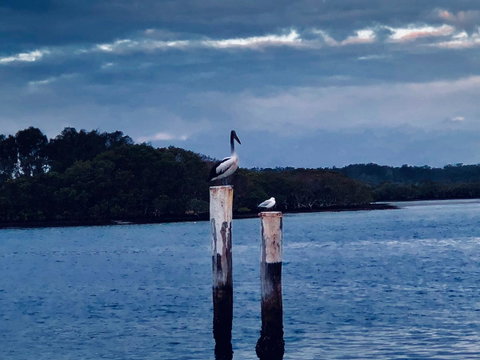Boathouse Resort (Water Front) - Accommodation in Bendigo 15