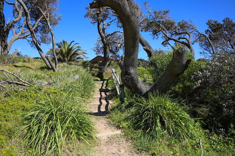 Abode @ Culburra - Pet Friendly - 4 Mins To Beach - Accommodation in Bendigo 25