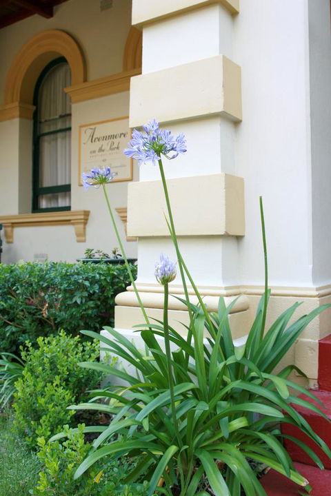 Avonmore On The Park Boutique Hotel - Accommodation in Bendigo 15