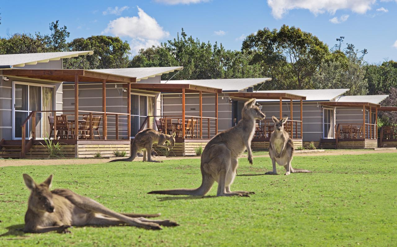 South Pambula NSW Accommodation in Bendigo