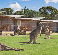 Discovery Parks  Pambula Beach - Accommodation in Bendigo