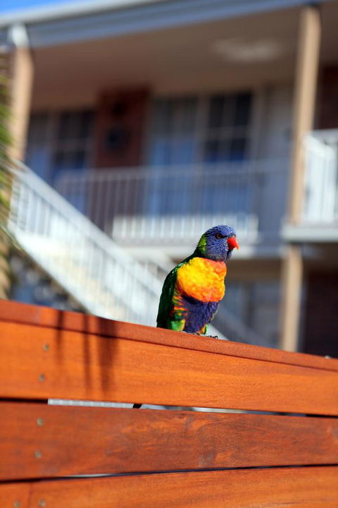 Summerhill Motor Inn - Accommodation in Bendigo 30
