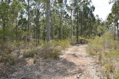 JE Guesthouse, Central To All The Hunter Valley Has To Offer - Accommodation in Bendigo 44